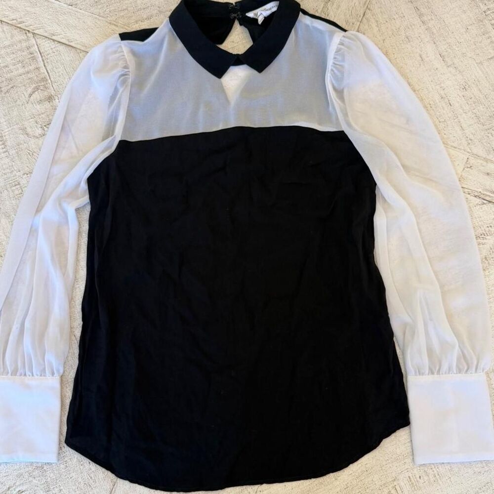 Black White Peter Pan Collar Blouse Sheer Sleeve Top